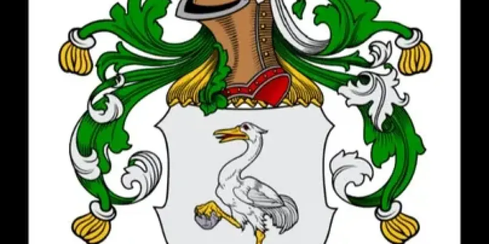 Imagem do grupo de WhatsApp Regime Steincilista