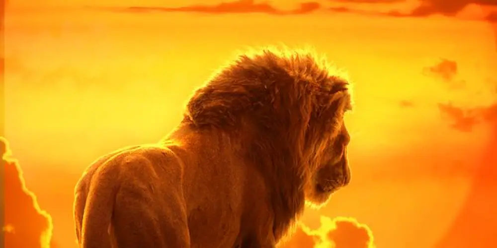 Imagem do grupo de WhatsApp rei leão covers