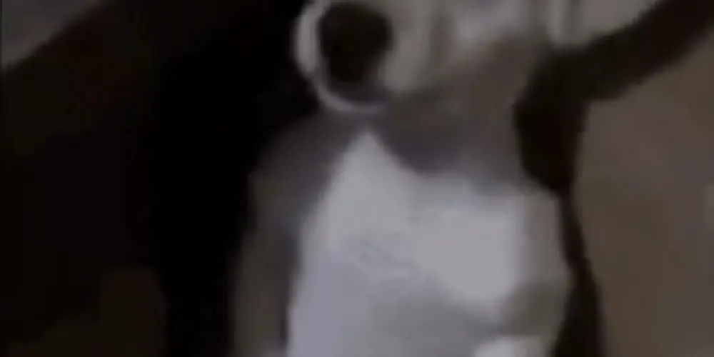 Imagem do grupo de WhatsApp ♛REINO DA ZOEIRA♛