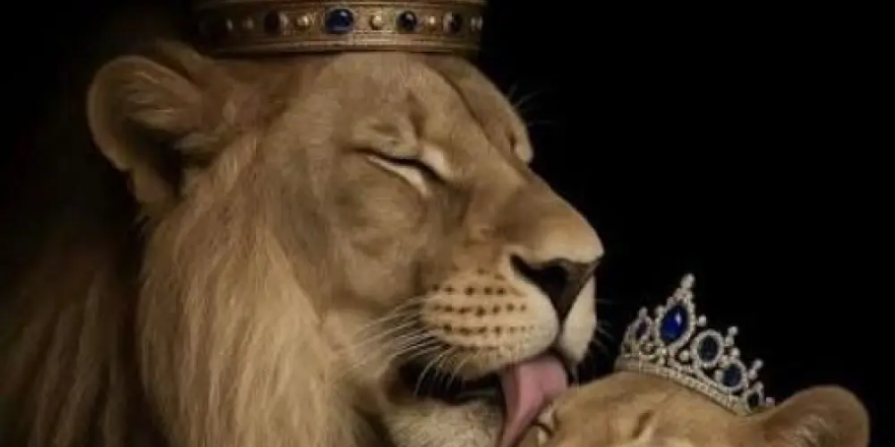 Imagem do grupo de WhatsApp 👑Reis e Rainhas das figurinhas👑