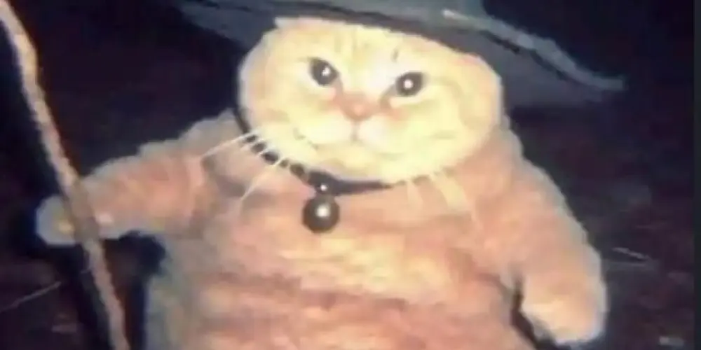 Imagem do grupo de WhatsApp REJEITADOS DO CAPS 💕