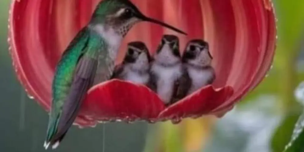 Imagem do grupo de WhatsApp RELACIONAMENTO MADURO 😍NAMORO E AMIZADES👨‍❤️‍👨