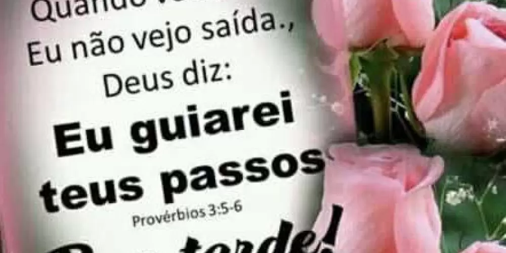 Imagem do grupo de WhatsApp Relacionamento sério e amizade