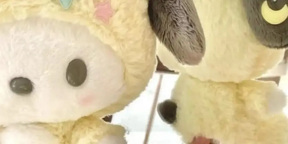 Imagem do grupo de WhatsApp Relações de carinho 💕💛