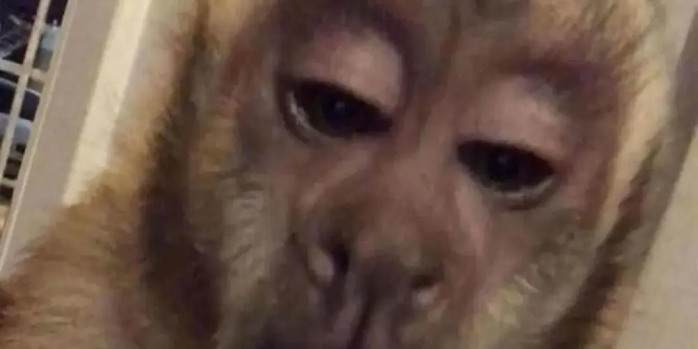 Imagem do grupo de WhatsApp República do Loiro🧑🏼