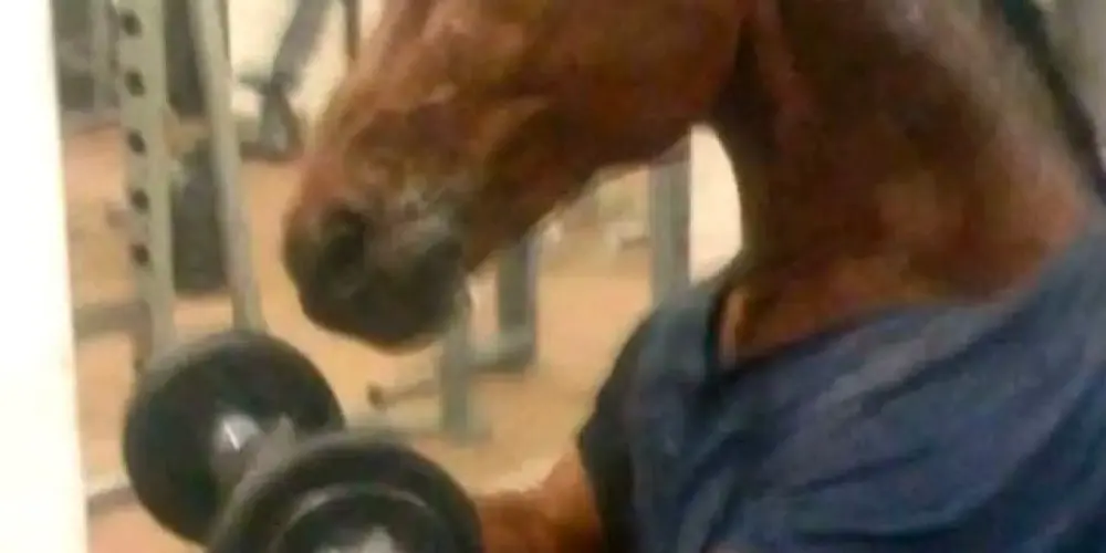 Imagem do grupo de WhatsApp Resenha 2.0