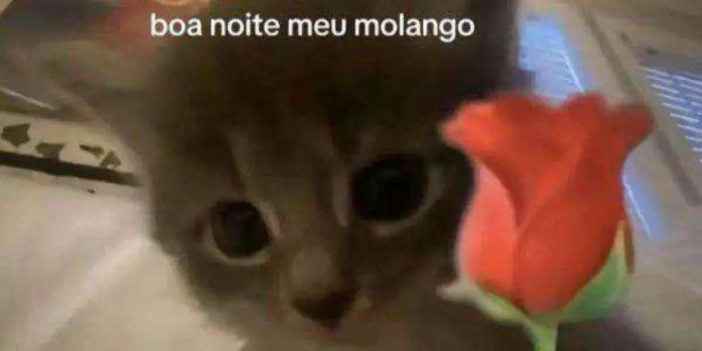 Imagem do grupo de WhatsApp resenha 2025