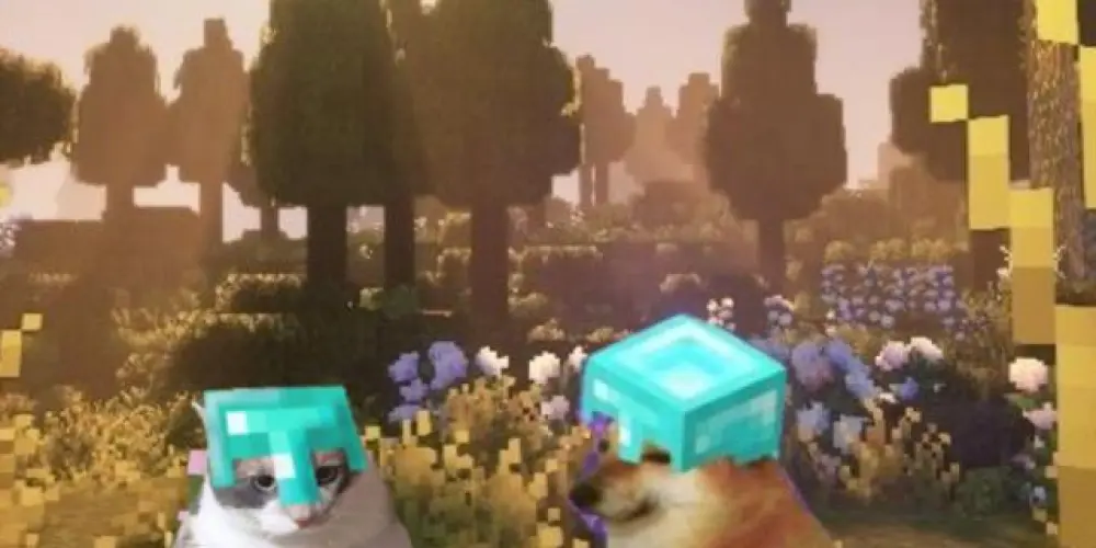 Imagem do grupo de WhatsApp Resenha 2025