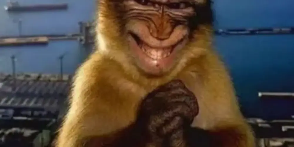 Imagem do grupo de WhatsApp Resenha 2025