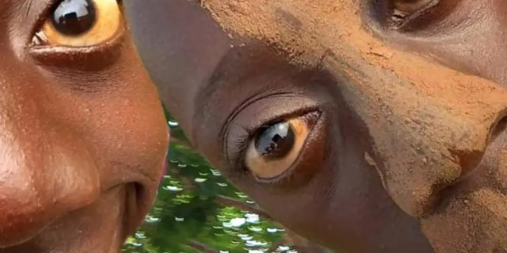 Imagem do grupo de WhatsApp Resenha 24