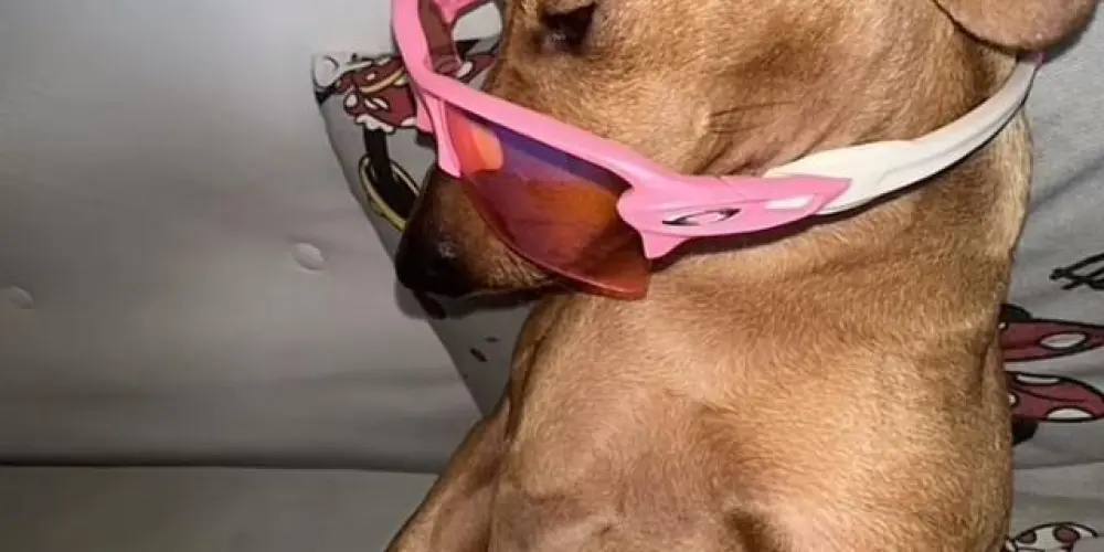 Imagem do grupo de WhatsApp Resenha 24hrs 💯