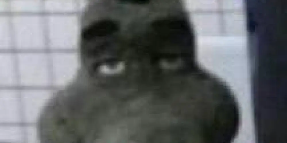 Imagem do grupo de WhatsApp resenha