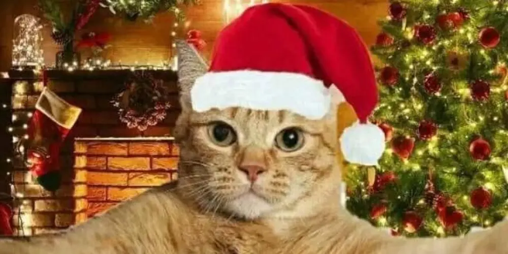 Imagem do grupo de WhatsApp ☃️ Resenha ☃️
