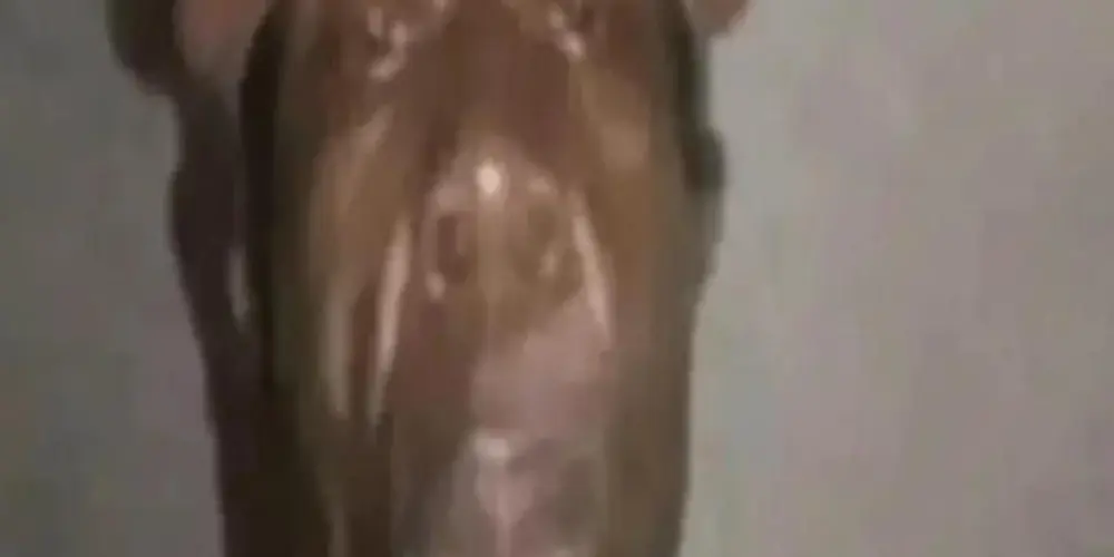 Imagem do grupo de WhatsApp RESENHA 😁