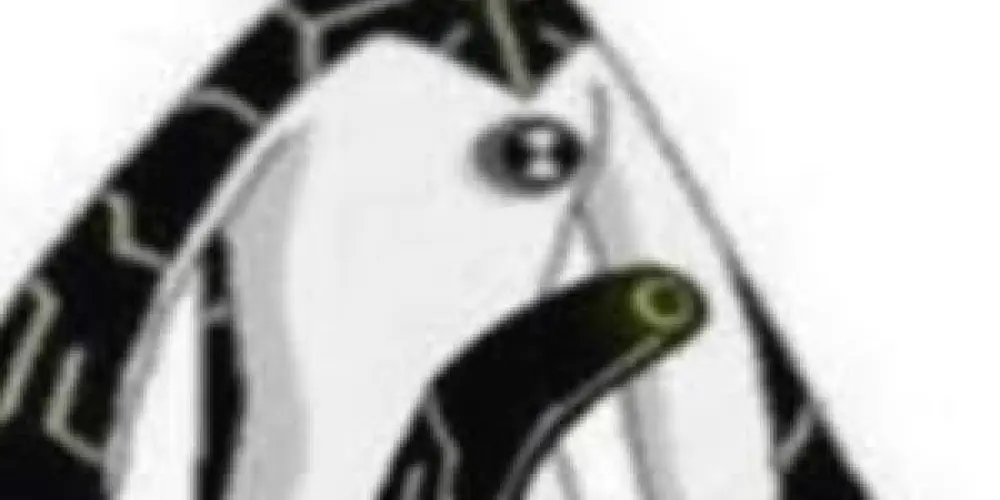 Imagem do grupo de WhatsApp resenha💯🔥