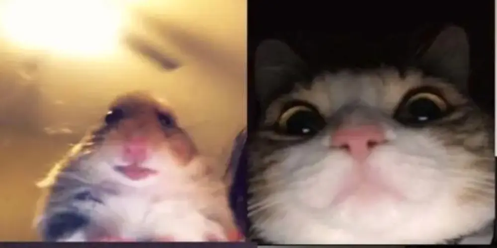 Imagem do grupo de WhatsApp Resenha🔥