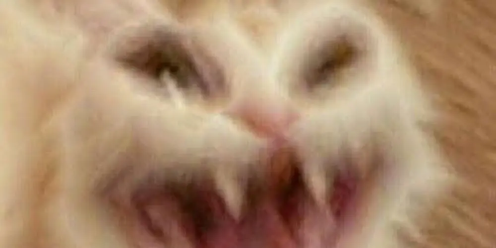 Imagem do grupo de WhatsApp Resenha 🔥