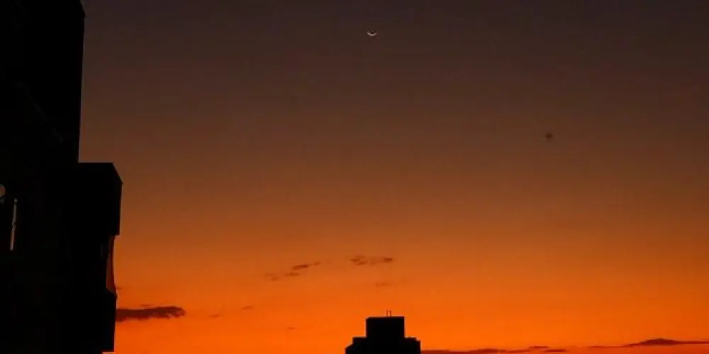 Imagem do grupo de WhatsApp $RESENHA$