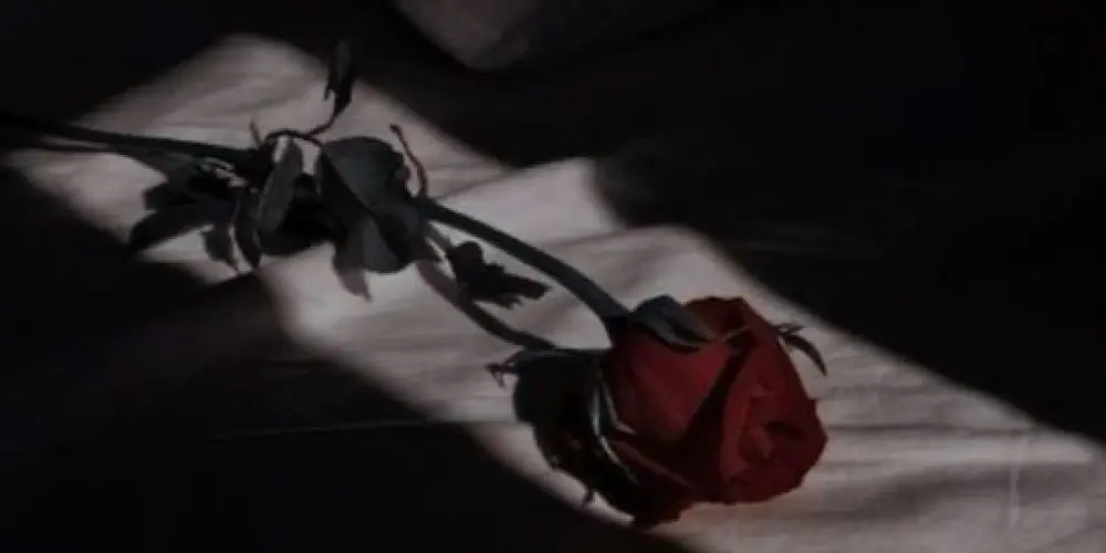 Imagem do grupo de WhatsApp RESENHA❤️‍🔥