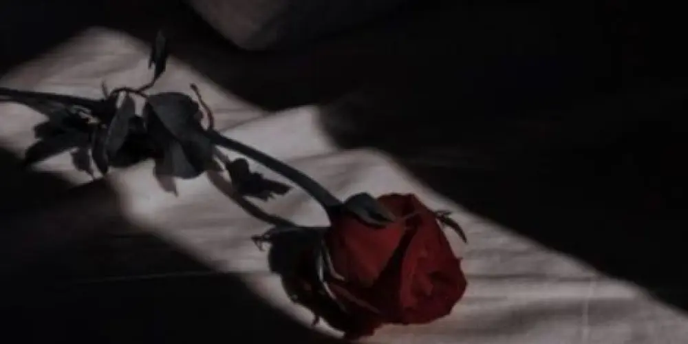 Imagem do grupo de WhatsApp RESENHA❤️‍🔥