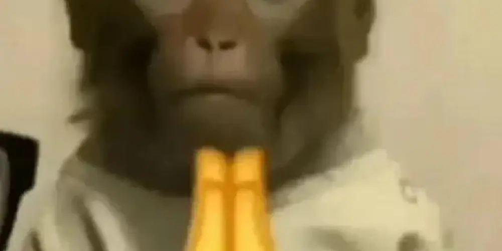 Imagem do grupo de WhatsApp Resenha