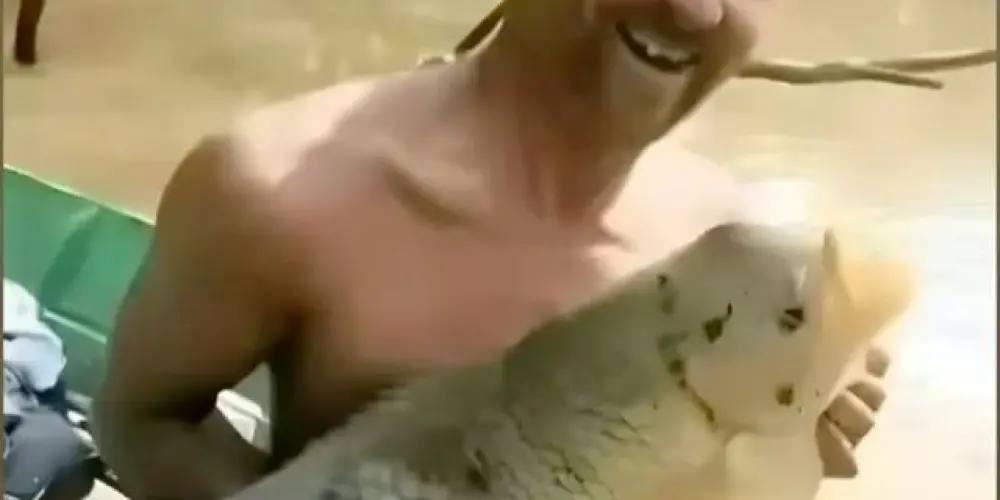 Imagem do grupo de WhatsApp RESENHA🤓