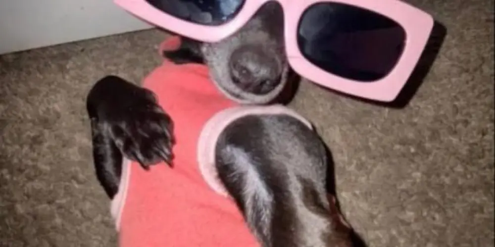 Imagem do grupo de WhatsApp Resenha 😝