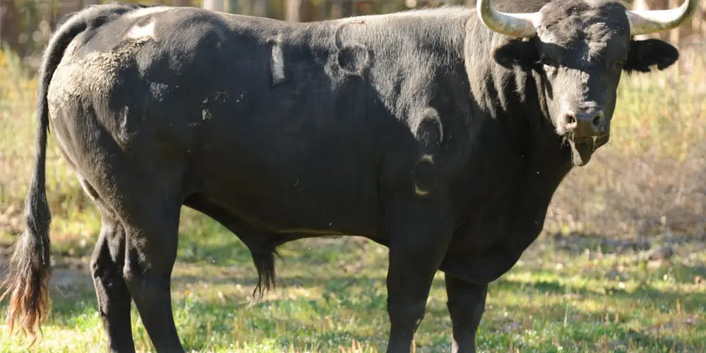 Imagem do grupo de WhatsApp Resenha🔥