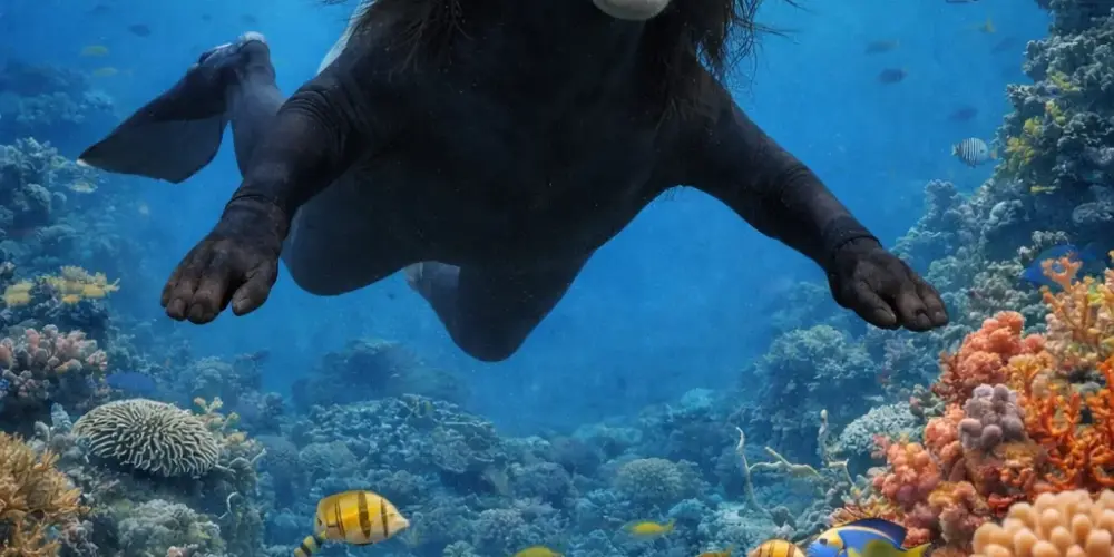 Imagem do grupo de WhatsApp resenha 👀