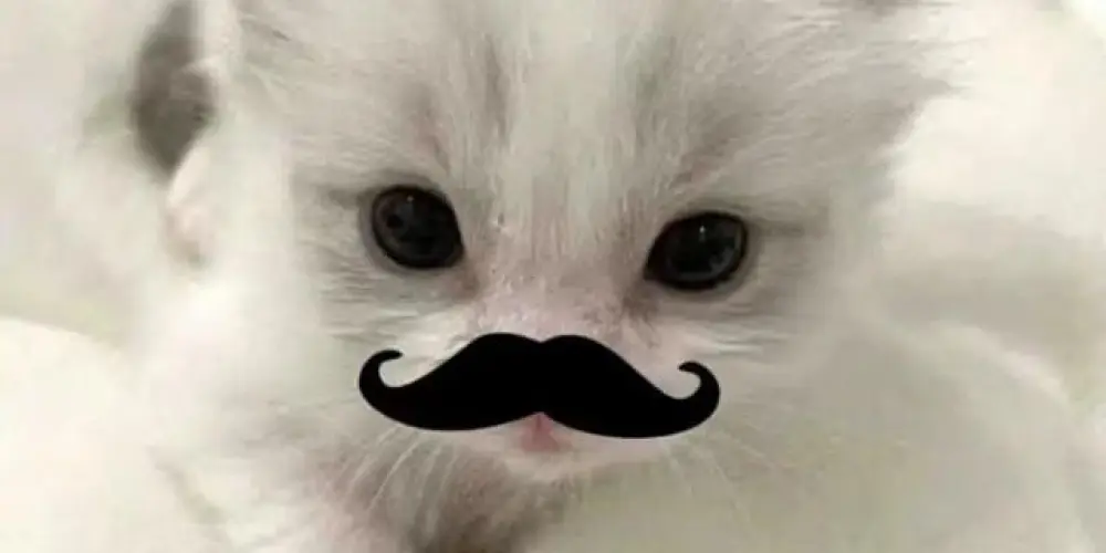 Imagem do grupo de WhatsApp Resenha best 🛐