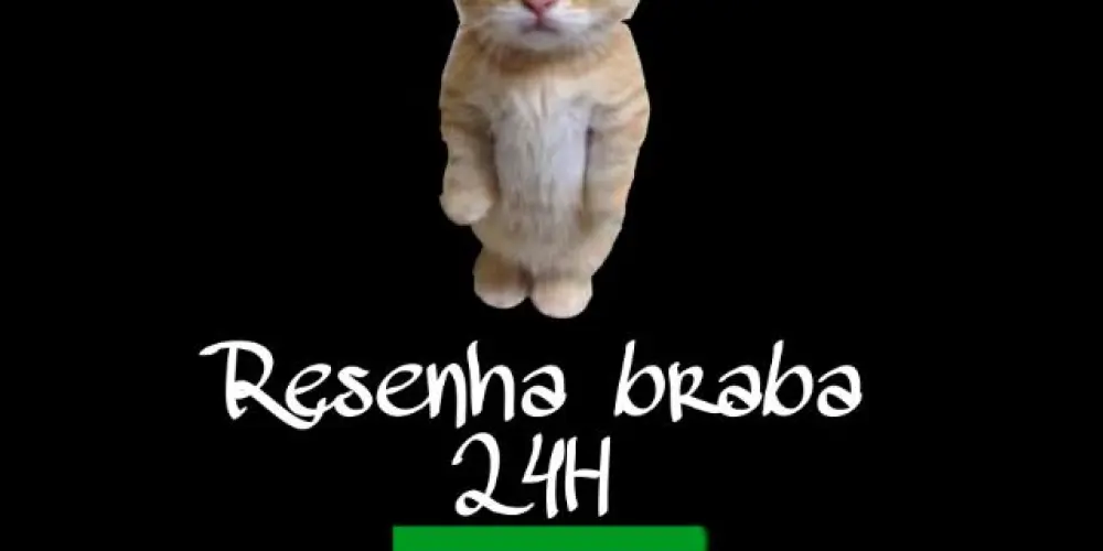 Imagem do grupo de WhatsApp ミ★Resenha braba 24H★彡