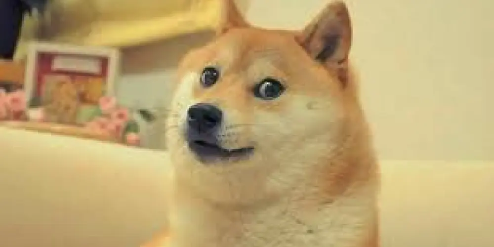 Imagem do grupo de WhatsApp Resenha com a galera