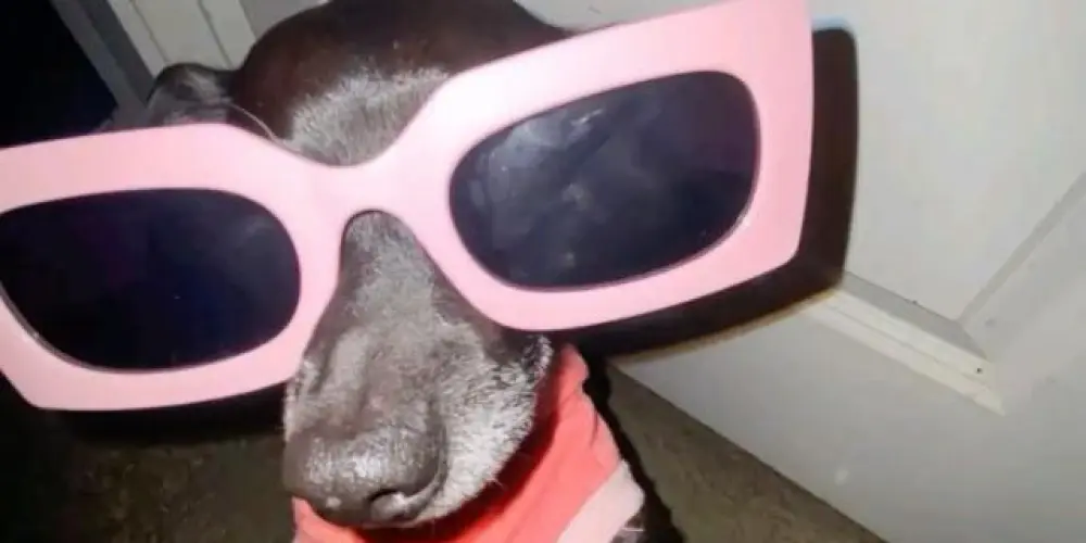 Imagem do grupo de WhatsApp RESENHA DA 00:00❤️‍🔥