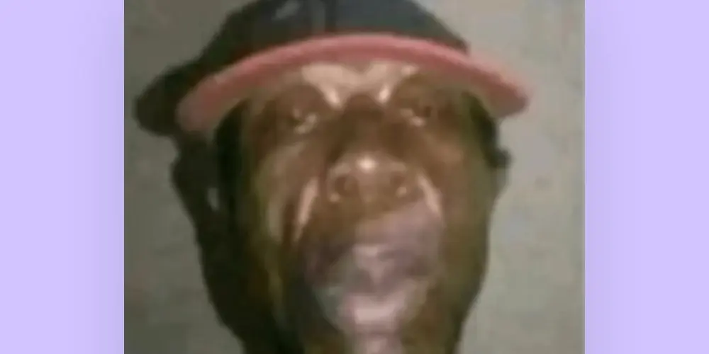 Imagem do grupo de WhatsApp Resenha de 079🤷🏽‍♂️💥