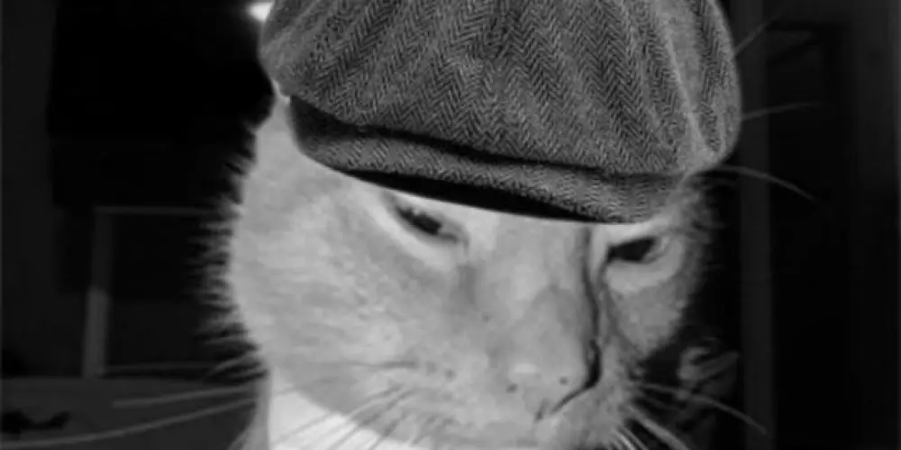 Imagem do grupo de WhatsApp Resenha de futebol 🔥