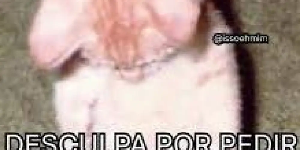 Imagem do grupo de WhatsApp Resenha de segunda a sábado