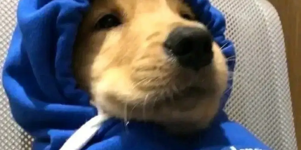 Imagem do grupo de WhatsApp 🚬 resenha do mistério 💥🍻