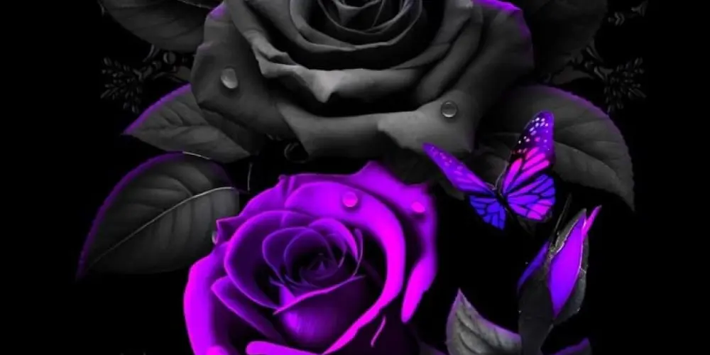 Imagem do grupo de WhatsApp Resenha do noah 👀