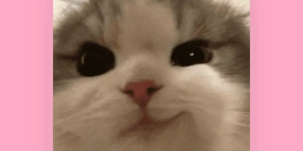 Imagem do grupo de WhatsApp Resenha dos de fé 🫶🏻