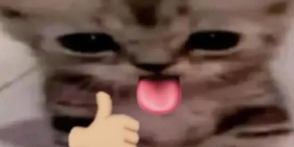 Imagem do grupo de WhatsApp Resenha dos loucos😝