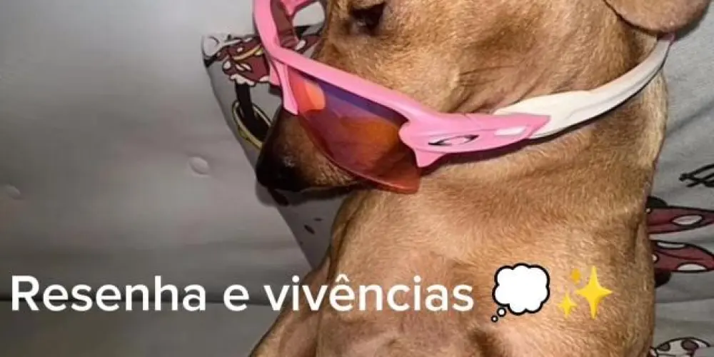 Imagem do grupo de WhatsApp Resenha e vivências 💭✨