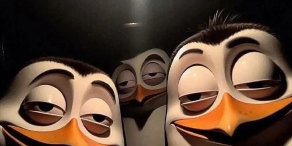 Imagem do grupo de WhatsApp Resenha Errada