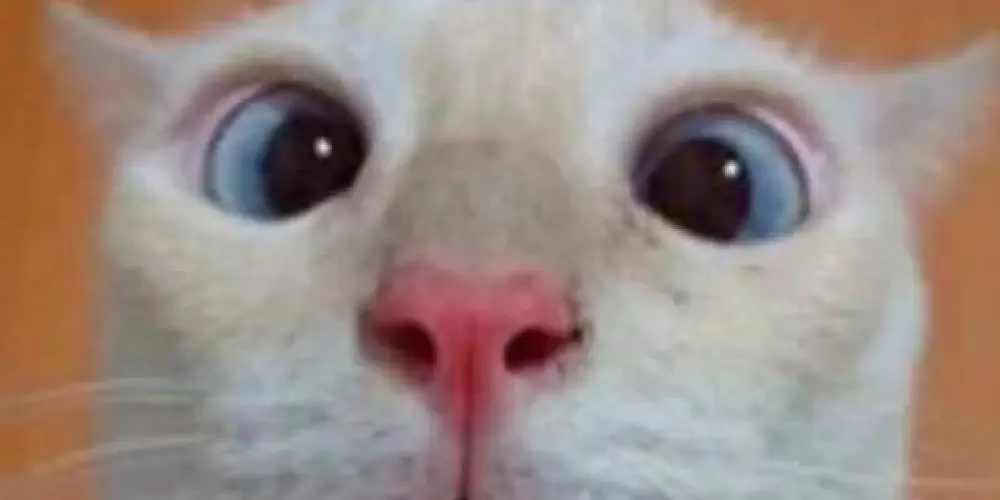 Imagem do grupo de WhatsApp 💯🔥💯 resenha estrema