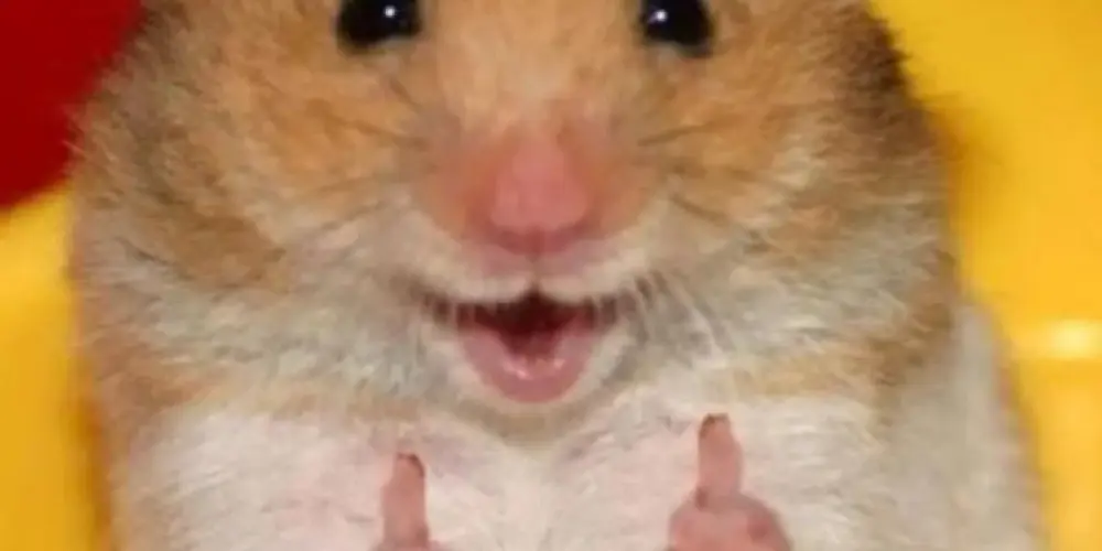 Imagem do grupo de WhatsApp Resenha on🔥