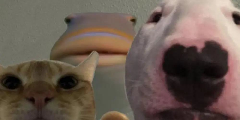 Imagem do grupo de WhatsApp Resenha on✔️