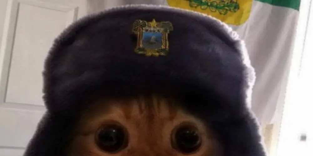 Imagem do grupo de WhatsApp Resenha Potiguar
