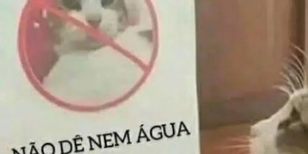 Imagem do grupo de WhatsApp Resenha principal