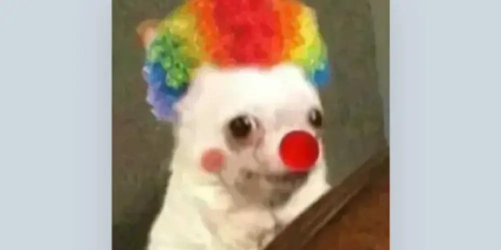 Imagem do grupo de WhatsApp RESENHA PURA