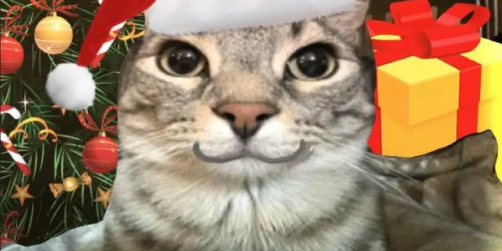 Imagem do grupo de WhatsApp resenha (sem League)