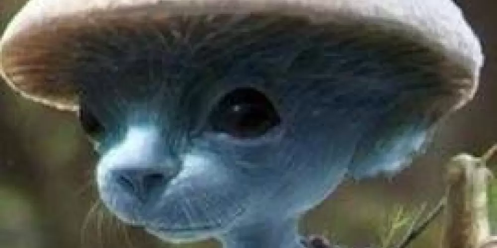 Imagem do grupo de WhatsApp Resenha sem limites😼